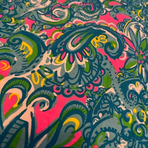 NWT Lilly Pulitzer Danberry Dress - Picture 2 of 3